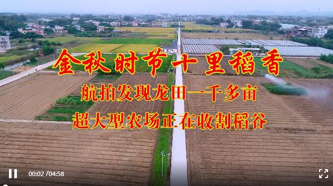 金秋時(shí)節(jié)十里稻香，航拍發(fā)現(xiàn)龍?zhí)镆磺Ф喈€超大型農(nóng)場(chǎng)正在收割稻谷